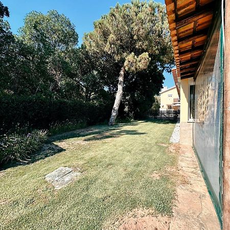 Casa Girassol With A Beautiful Private Pool And Garden Villa Sintra Exteriör bild