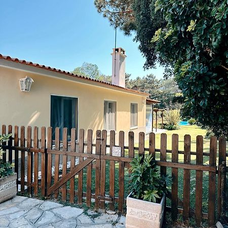 Casa Girassol With A Beautiful Private Pool And Garden Villa Sintra Exteriör bild